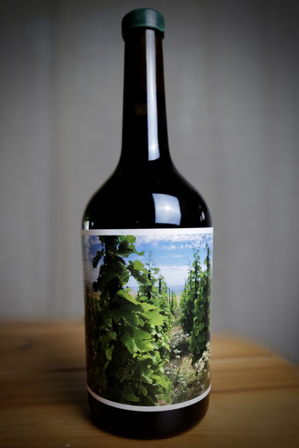 Weathereye Syrah