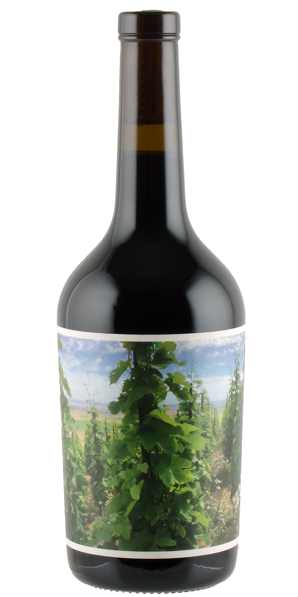 Weathereye_Estate_Syrah_2022_FRONT WeatherEye_Syrah